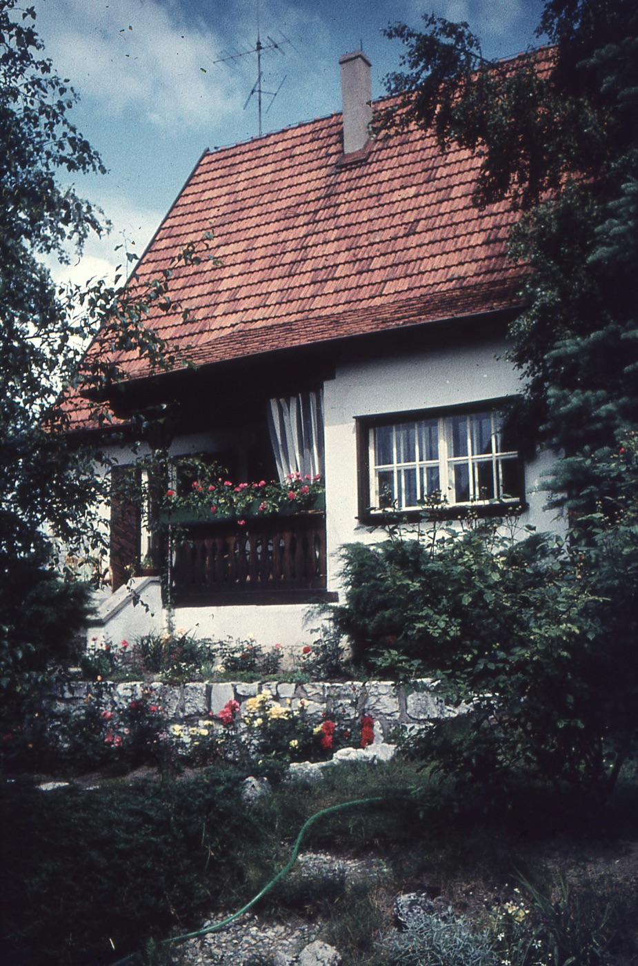 The house on Huffman Avenue. My mother's flowers always came before the lawn.